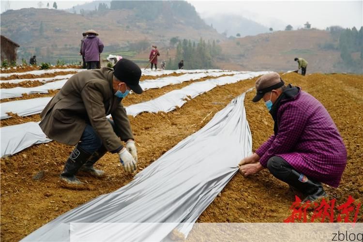 溆浦:沅水屏障下的湘西防疫样本