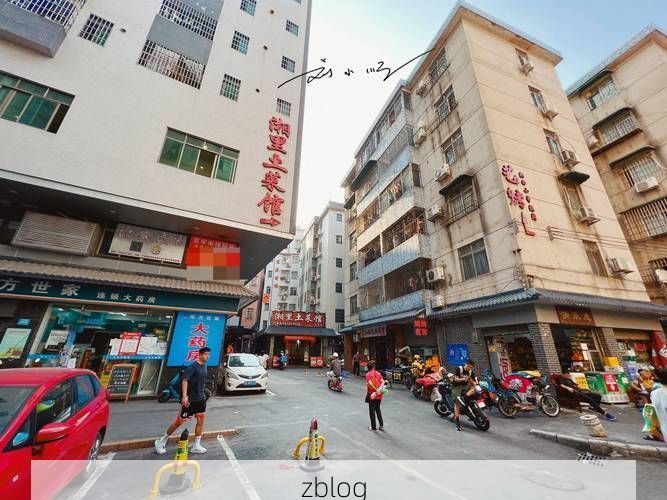 【白云区：城村交织下的疫情流变与防控逻辑】