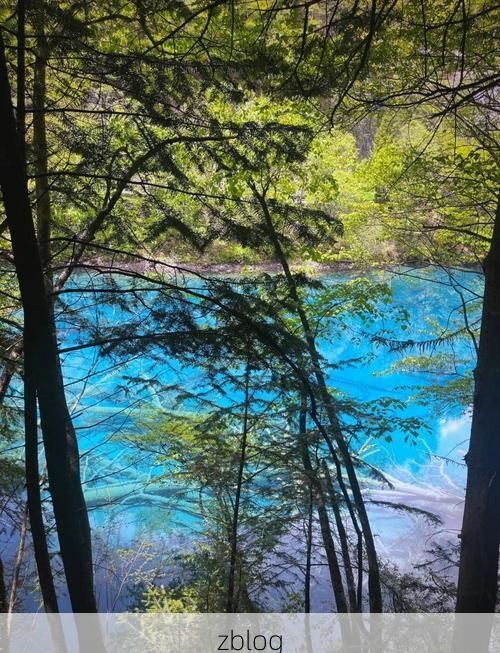 九寨沟：高原屏障下的零感染坚守_71273