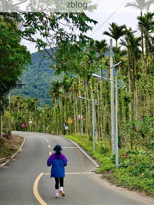 陵水：热带滨海旅游地的疫情防线与破防时刻