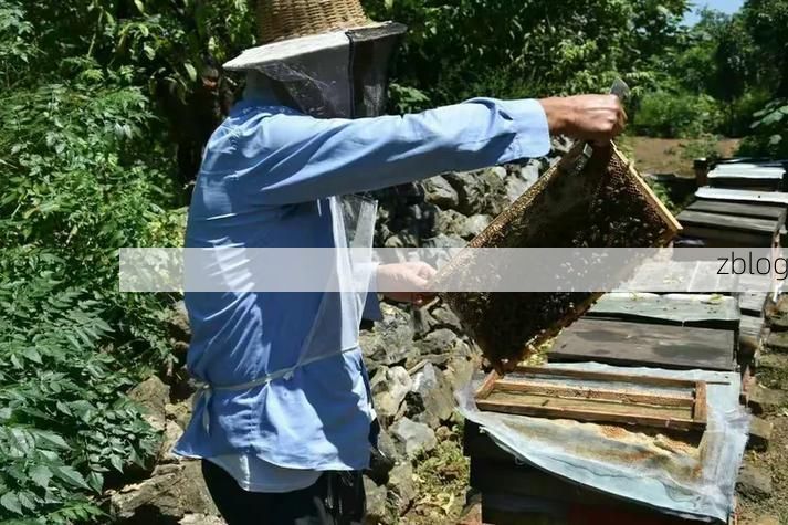 鲁山疫情破防:伏牛山腹地的防疫压力测试