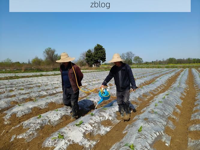 郎溪：皖南门户的防疫坚守与地理屏障下的零感染愿景