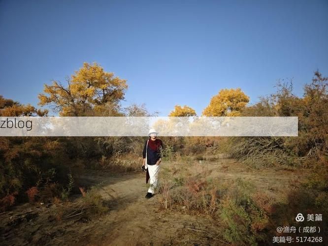 轮台:南疆交通枢纽的疫情压力与防控实践