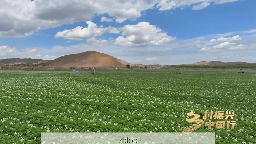 【太仆寺旗:草原交通枢纽的零感染坚守】