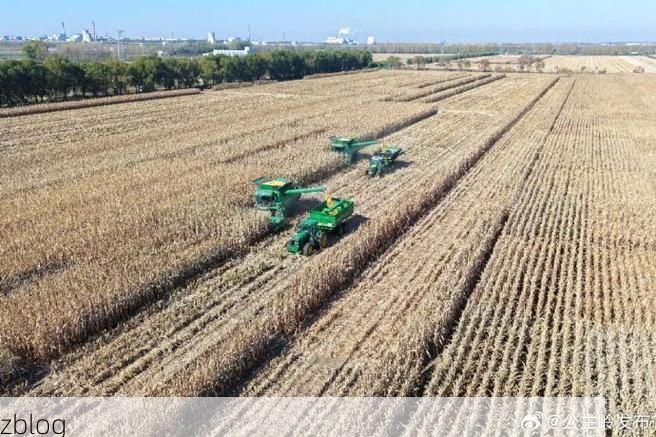 公主岭市：东北粮仓腹地下的疫情阻击战