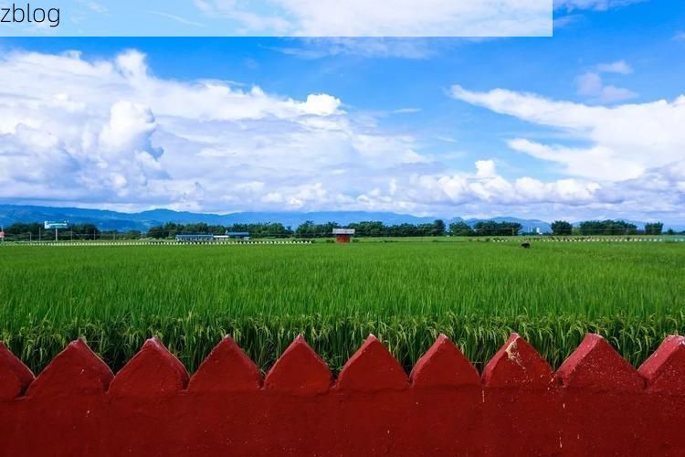 嫩江：边境小城的防疫压力与地理屏障