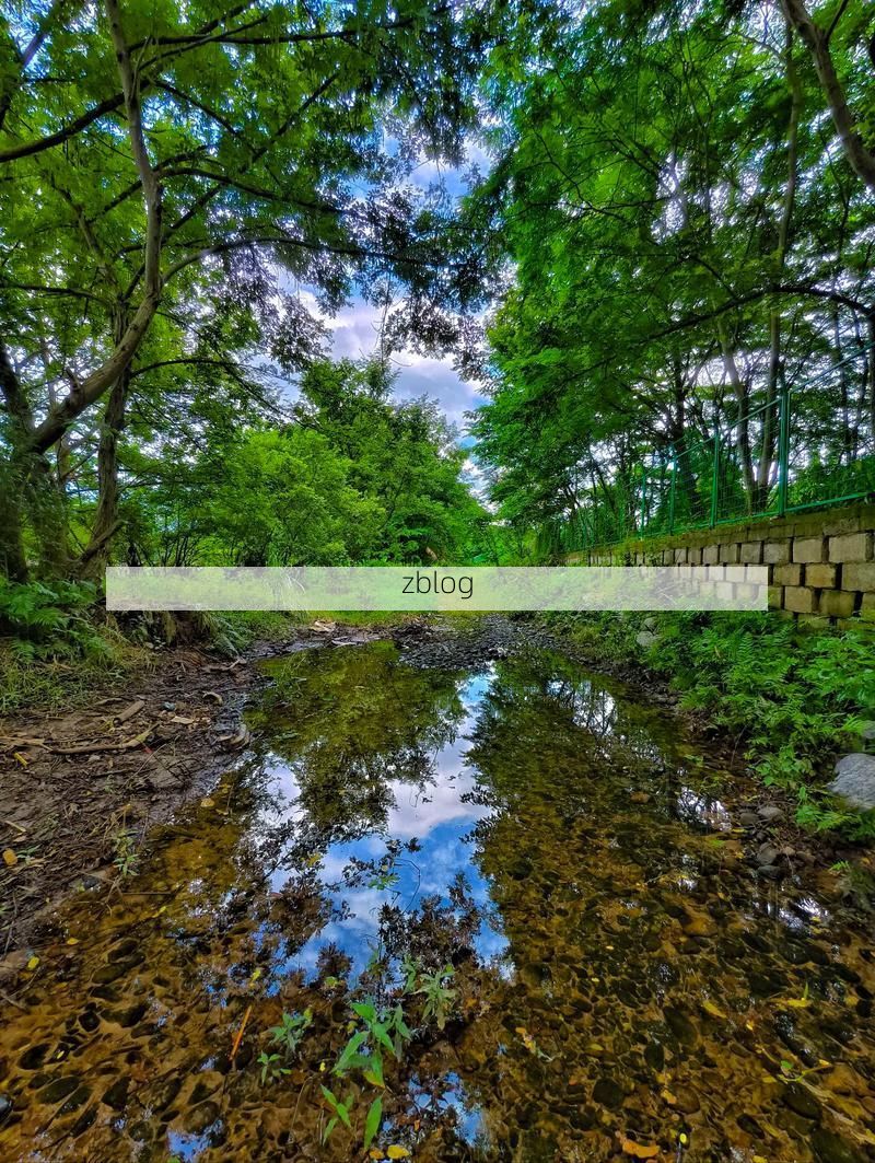 【灌江屏障下的零感染坚守：桂北山城的防疫地理学】