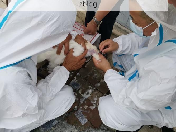 长治县:太行屏障下的县域防疫样本_89083