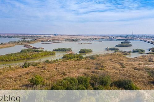 东营:黄河三角洲湿地屏障下的低感染率样本