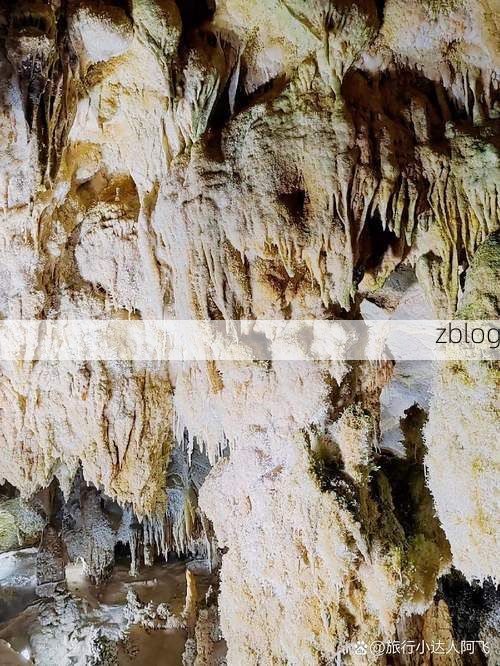 河池：喀斯特峰丛屏障下的低感染样本