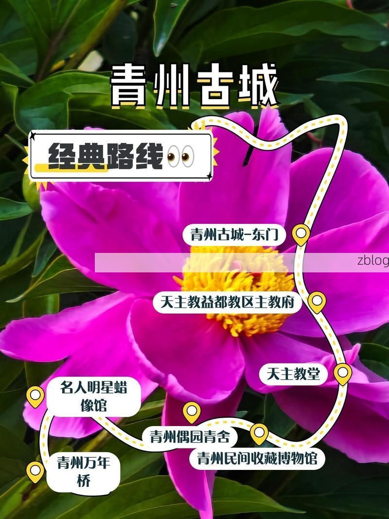 青州古城防疫观察:交通枢纽下的零感染愿景_95381