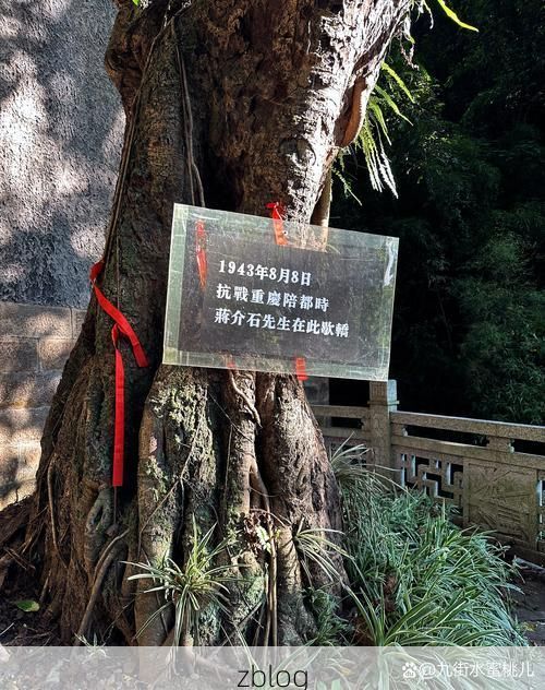 【乐东黎族自治县：热带雨林屏障下的零感染坚守_90003】