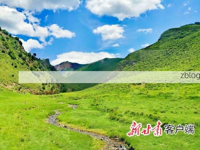 祁连山下零感染：高原屏障如何构筑防疫孤岛？_84683