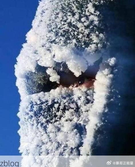 上甘岭区:林海雪原屏障下的零感染坚守_69350