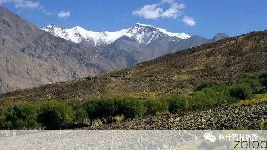 叶城：昆仑北麓的零感染记录与地理屏障下的防疫实践