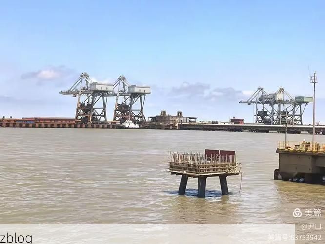 崇明岛：长江口生态屏障下的疫情防线