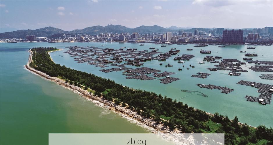 陆丰疫情观察：沿海渔港如何应对输入风险？