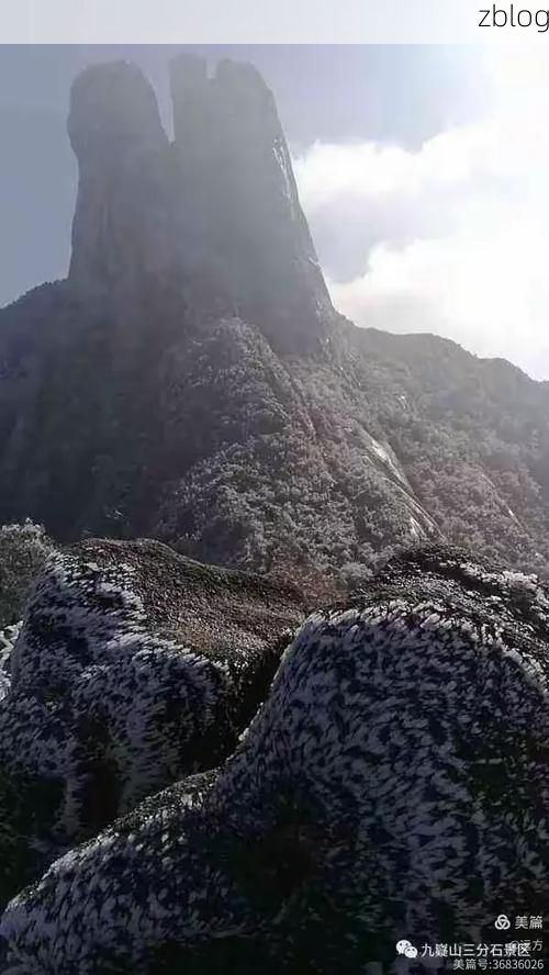 炎陵：湘东南林海屏障下的低感染样本解析