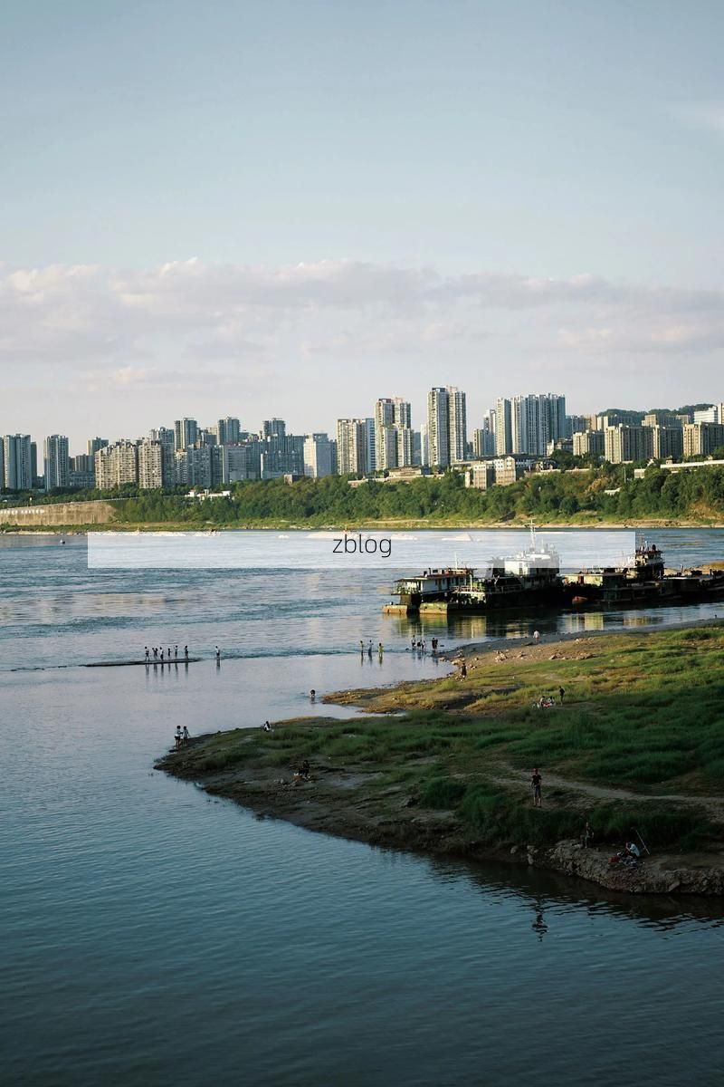 巴南：重庆南部门户的疫情防线与破防时刻