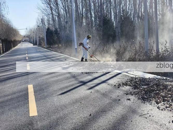 东丰县:寒地黑土上的静默防线与零感染坚守