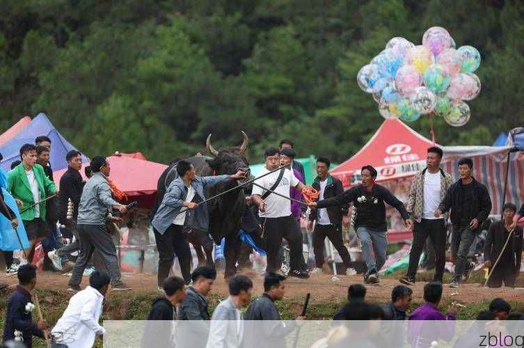 布拖新增1例无症状感染者  布拖县疫情防控最新通报_91094