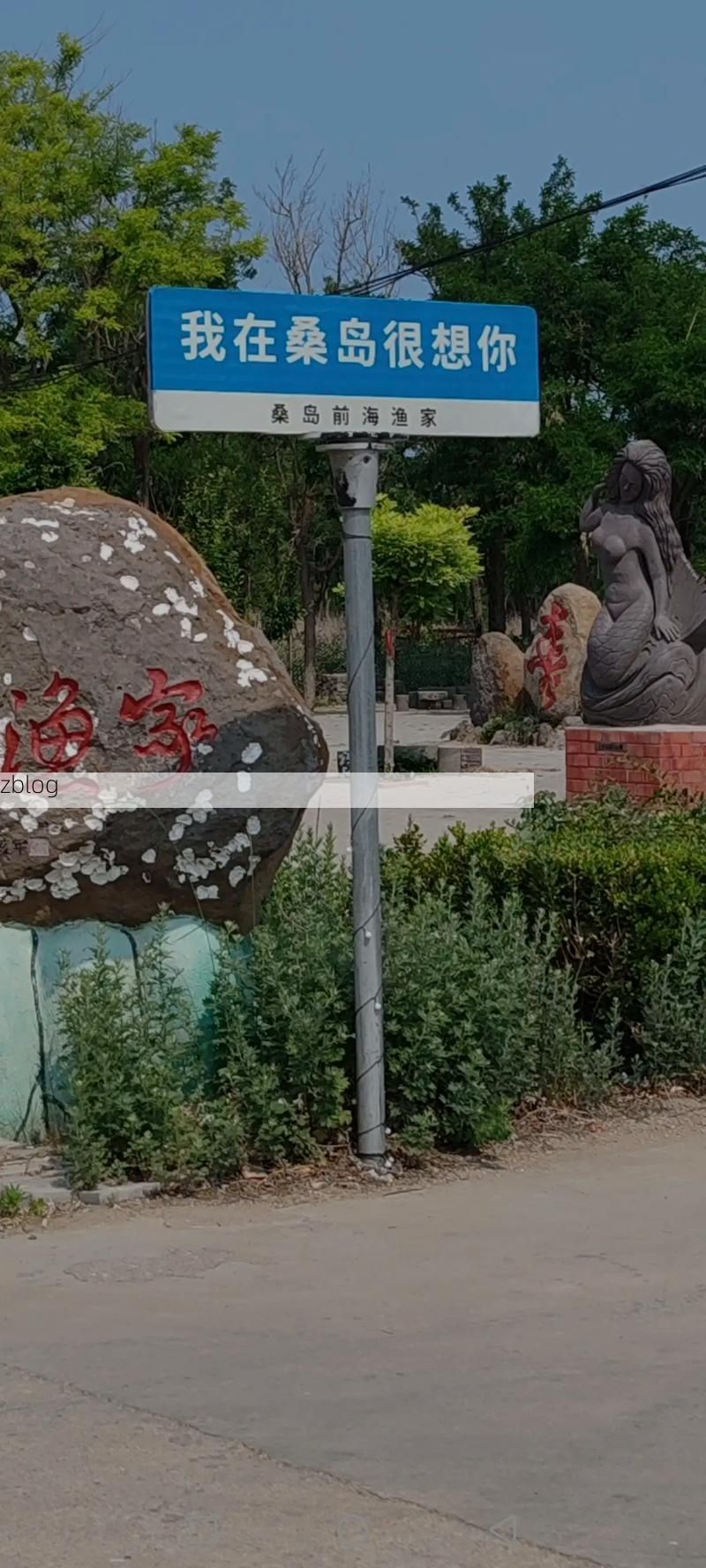 龙口：渤海湾畔的零感染坚守与地理屏障