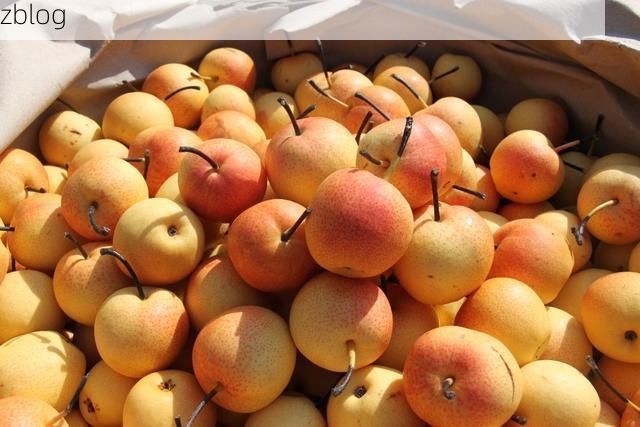 乐安:赣中丘陵屏障下的零感染坚守_99948