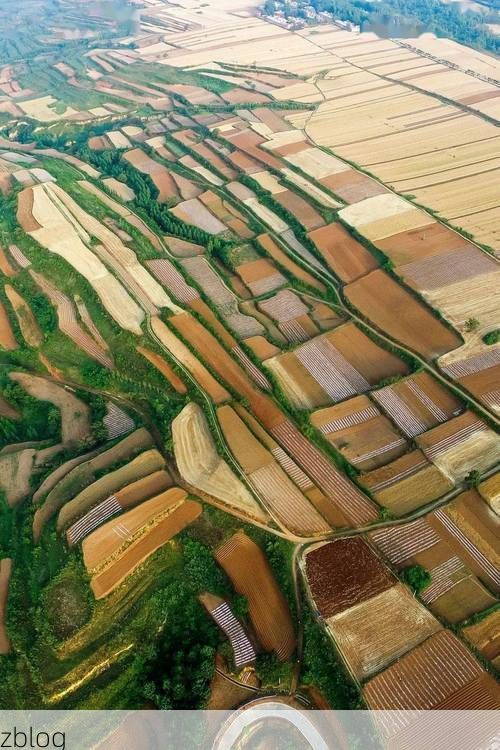 东阿阿胶故里的零感染：黄河冲积平原上的防疫样本