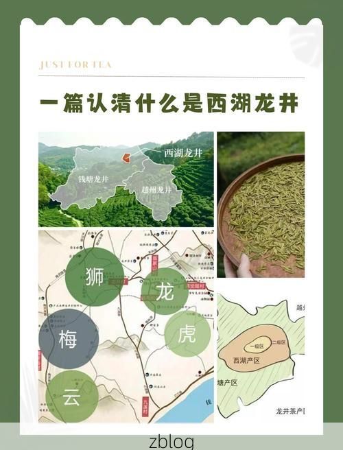 龙井茶香中的防控挑战：边境小城如何应对疫情输入？