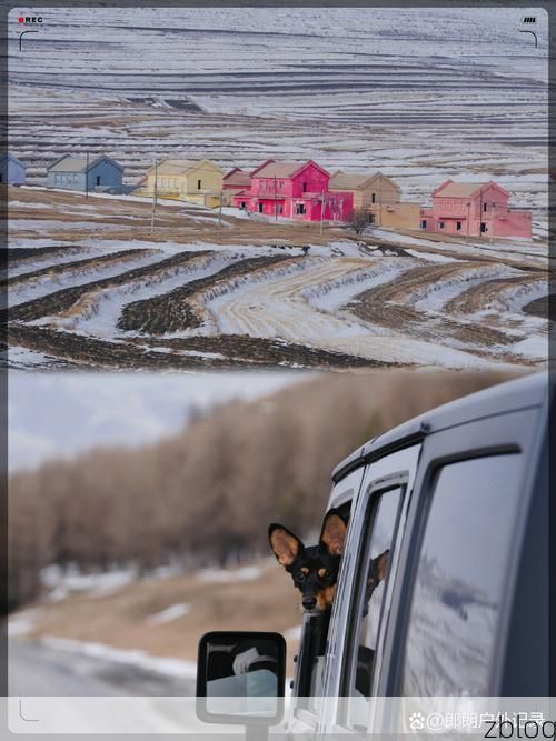 桦南：寒地黑土上的静默防线