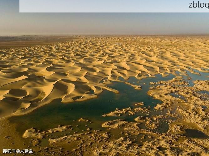 阿拉善盟：戈壁屏障下的疫情破防与围堵