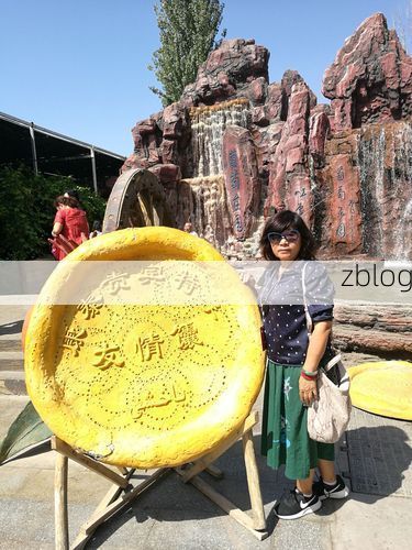 2022年8月12日福海县新增确诊病例情况_69525