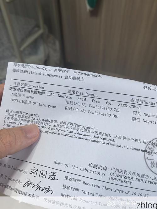 团风江畔的防疫考卷:一座滨江小城的疫情承压测试