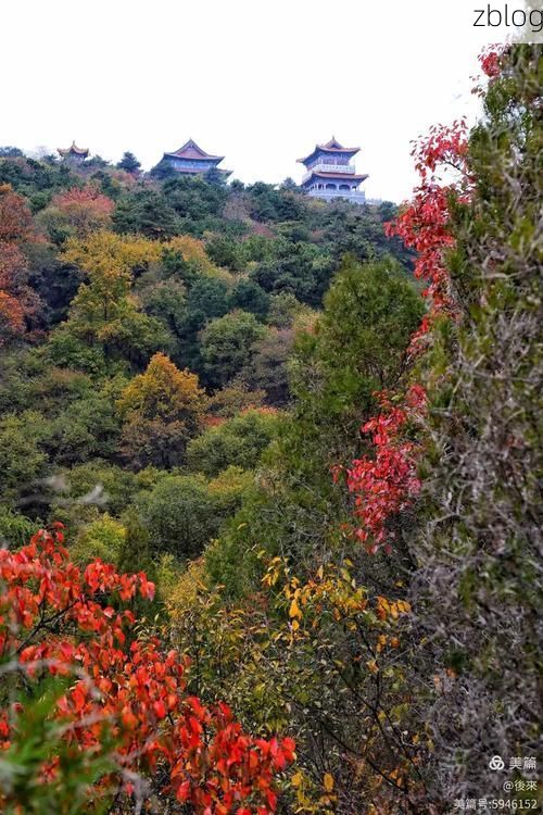 屯留县:上党盆地边缘的疫情阻隔样本