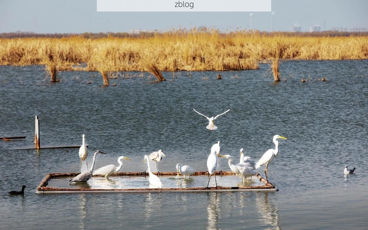 衡水湖屏障下的防疫坚守:华北平原的零感染样本