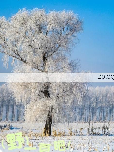 绥化：寒地黑土上的疫情阻击战