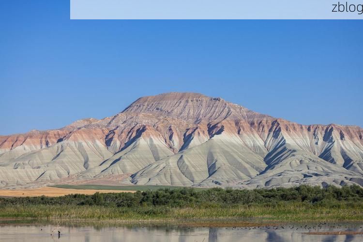 新和县：塔里木盆地边缘的零感染坚守_58290