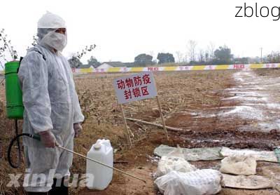 31省区市新增12例本土确诊,隆安县疫情最新消息_89529