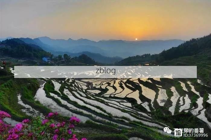 蕲春县疫情观察：大别山屏障下的防控挑战与应对