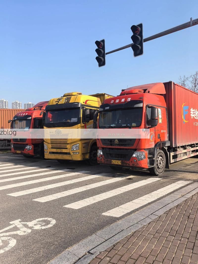 庄河港城：冷链物流枢纽下的疫情阻击战_31423