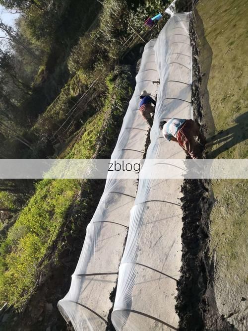 广南：滇东南锁钥下的零感染坚守