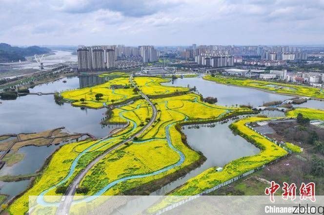 眉山：岷江之畔的静默战场与社区网格的精准阻击