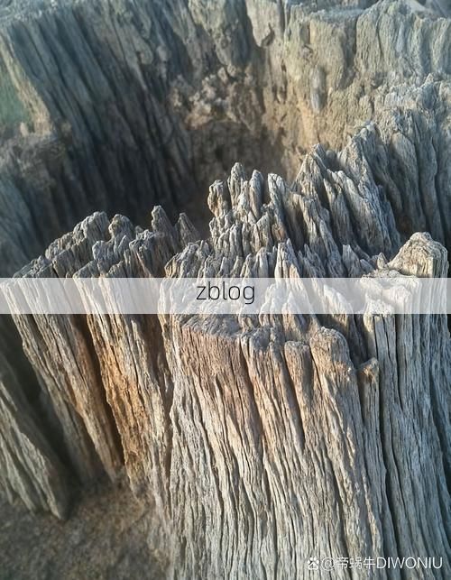 浮山：黄土沟壑间的疫情孤岛与物理防线_88300