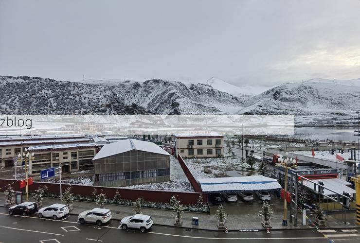 2022年8月15日西藏嘉黎县新增确诊病例情况_57613