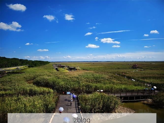 【盘锦：辽河三角洲湿地的防疫地理屏障】