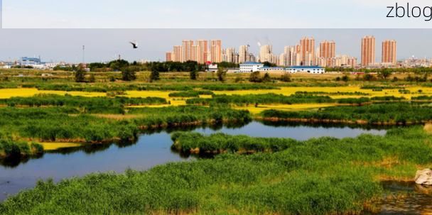 安达市：松嫩平原腹地的静默防线与零星破防