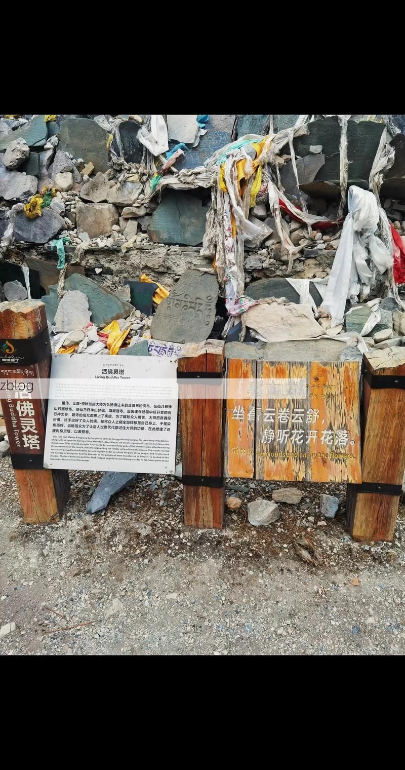 鹤城屏障:雪峰山腹地的零感染坚守