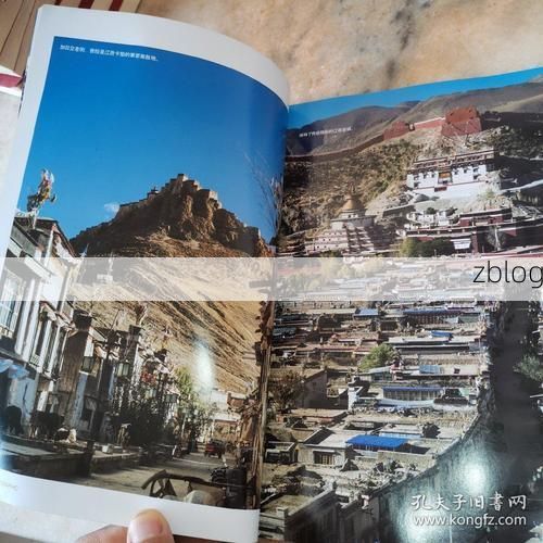 高原屏障下的零感染样本：江孜防疫的地理密码