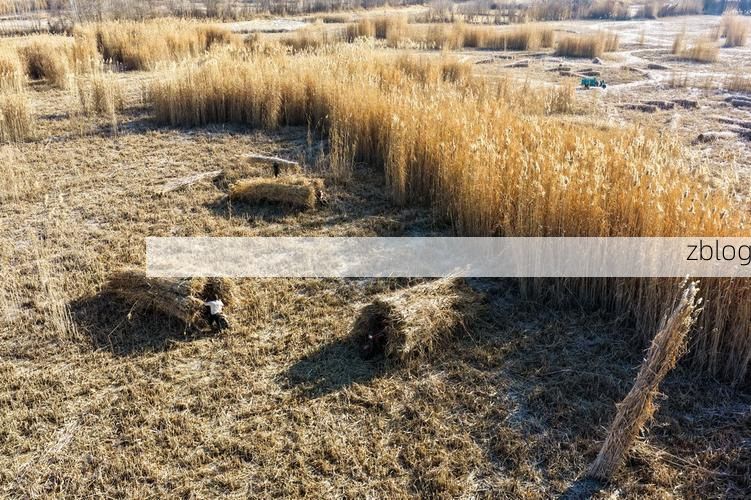 墨玉县:塔克拉玛干边缘的零感染坚守_33879