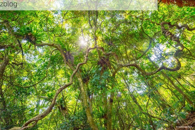 琼中:热带雨林屏障下的零感染坚守_33522